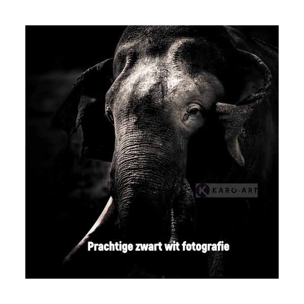 Ontvang met deze code EXTRA 20% korting op alle schilderijen in de Outlet Store van Karo-Art