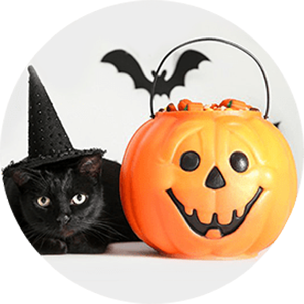Halloween essentials koop je bij Amazon voor gruwelijk lage prijzen!