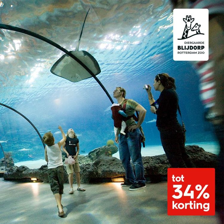 Diergaarde Blijdorp tickets met korting